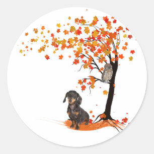 Pegatina Redonda Dachshund Owl And Fall Tree Dachshund Lover Otoño