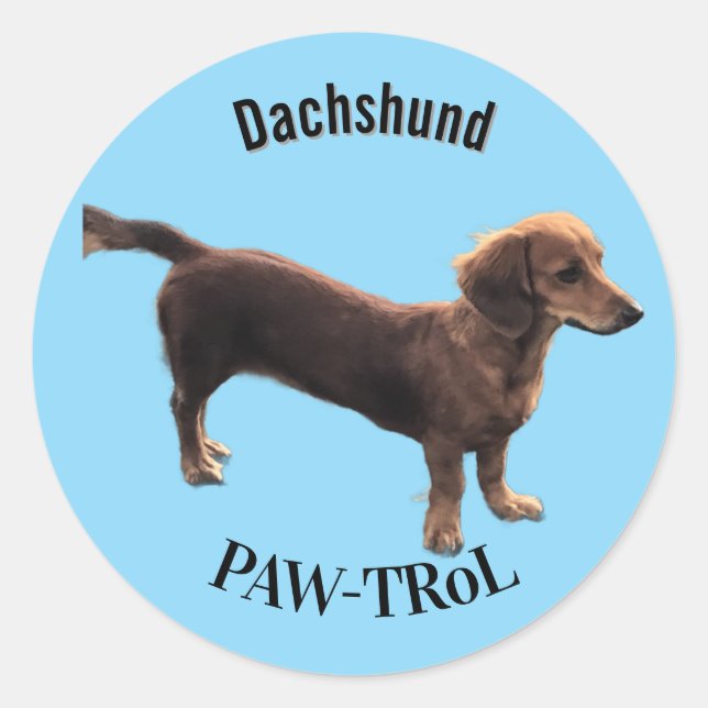 Pegatina Redonda Dachshund Paw-trol (Anverso)