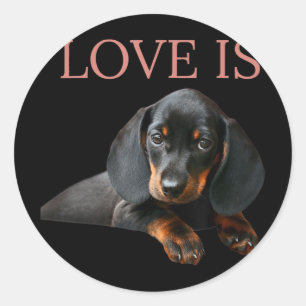 Pegatina Redonda Dachshund Perro Mamá Papá Hombres Mujeres Niños Re