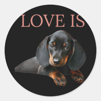 Pegatina Redonda Dachshund Perro Mamá Papá Hombres Mujeres Niños Re