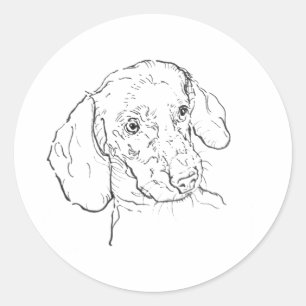 Pegatina Redonda Dachshund, Perro Salchicha, Perro Wiener