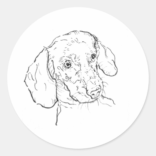 Pegatina Redonda Dachshund, Perro Salchicha, Perro Wiener (Anverso)