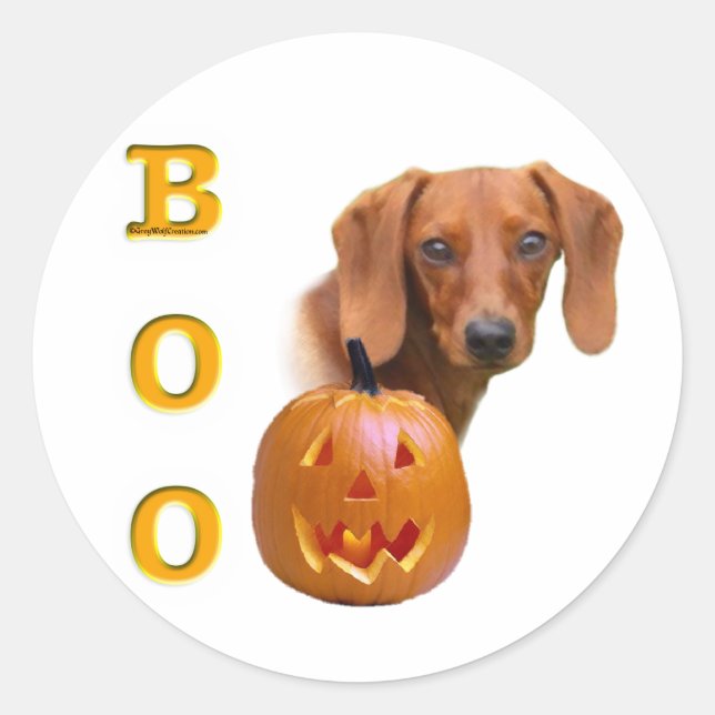 Pegatina Redonda Dachshund (suave) Boo (Anverso)