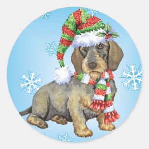 Pegatina Redonda Dachshund Wirehaired feliz de Howlidays