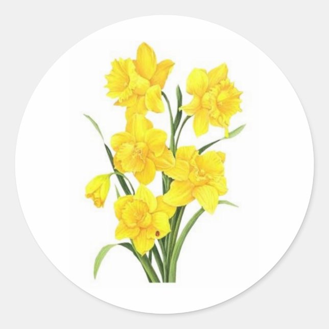 Pegatina Redonda Daffodis amarillos (Anverso)