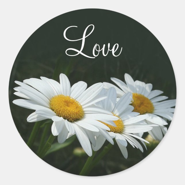 Pegatina Redonda Daisies Love (Anverso)