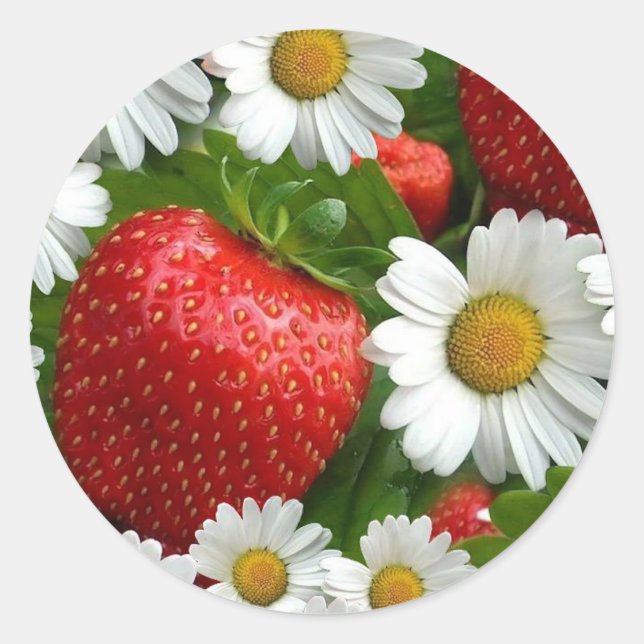 Pegatina Redonda Daisies y fresas (Anverso)