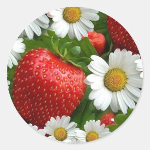 Pegatina Redonda Daisies y fresas