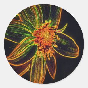 Pegatina Redonda Daisy Abstract Flower Art