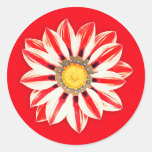 Pegatina Redonda Daisy africano / Gazania - franja roja y blanca
