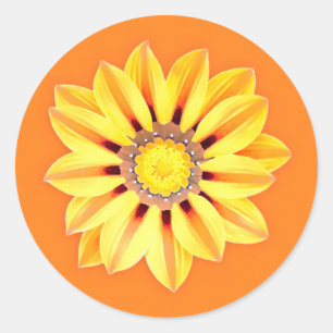 Pegatina Redonda Daisy africano / Gazania - Naranja y amarillo