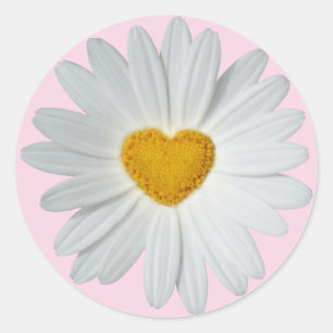 Pegatina Redonda Daisy Heart