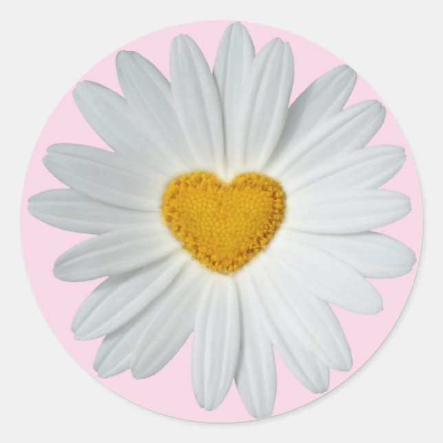 Pegatina Redonda Daisy Heart (Anverso)