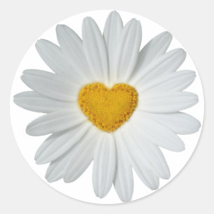 Pegatina Redonda Daisy Heart