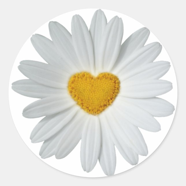 Pegatina Redonda Daisy Heart (Anverso)