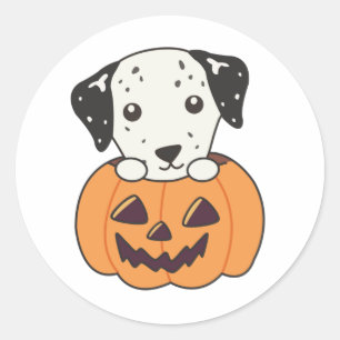 Pegatina Redonda Dalmatian En Calabaza Dulces Perros Feliz Hallowee