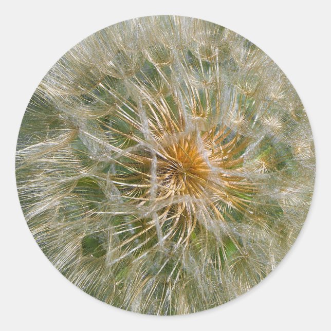 Pegatina Redonda Dandelion Flower (Anverso)