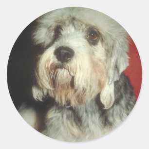 Pegatina Redonda Dandie Dinmont Terrier