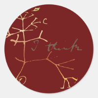 Darwin árbol de la vida: Creo