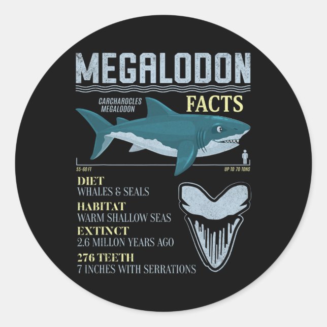 Pegatina Redonda Datos de Megalodón Diente de Tiburón Prehistórico  (Anverso)