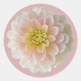 Pegatina Redonda Day Dreamer Waterlily Dahlia