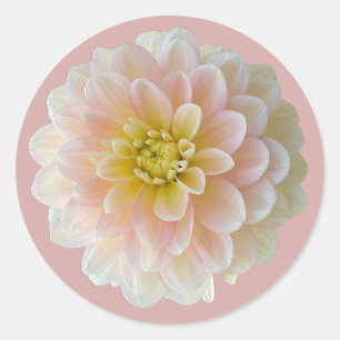 Pegatina Redonda Day Dreamer Waterlily Dahlia