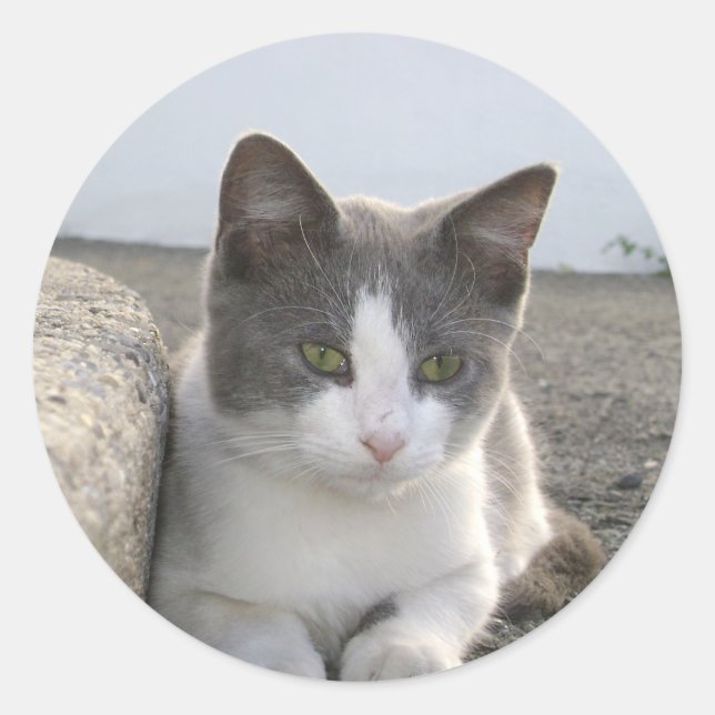 Pegatina Redonda "De color" (Anverso)