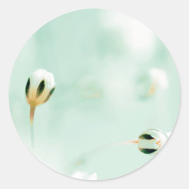 Pegatina redonda de impresión de flor hermosa (Anverso)