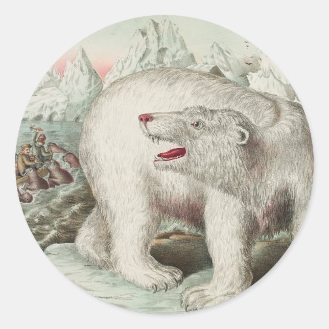 Pegatina redonda de Poster de oso polar (Anverso)