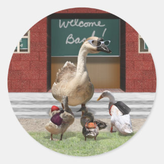 Pegatina Redonda ¡De vuelta a la escuela, Patos pequeños!