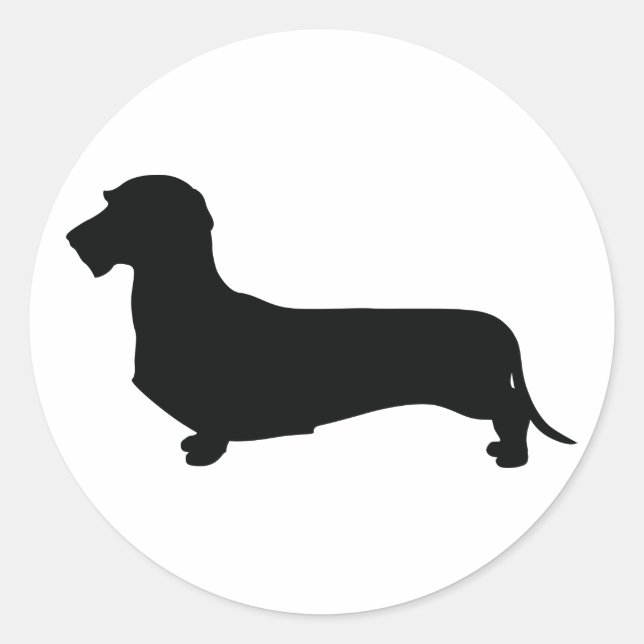 Pegatina redonda de Wire Hair Dachshund (Anverso)
