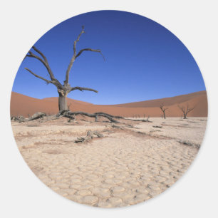 Pegatina Redonda Dead Vlei, Sossusvlei, Parque Nacional Namib-Naukl