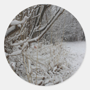 Pegatina Redonda Debajo de una manta de la nieve