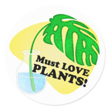 Debe amar a las plantas Monstera