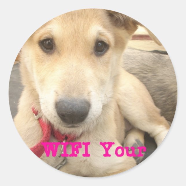 Pegatina Redonda Deberías Despertar Tu Amor A Diario (Anverso)