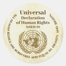 Declaración Universal de Derechos Humanos Artículo