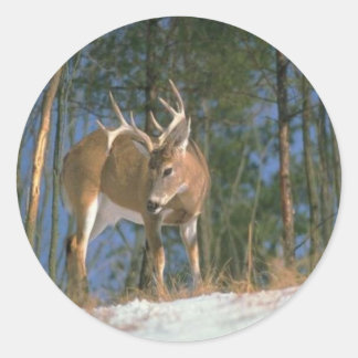 Pegatina Redonda Deer Buck