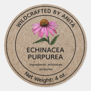 Pegatina Redonda Deflor púrpura de Echinacea Purpurea