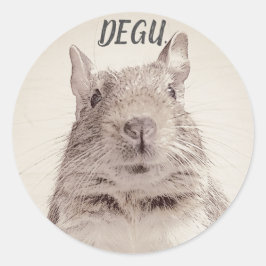 PEGATINA REDONDA ♧ DEGU ♧