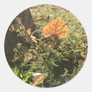 Pegatina Redonda Deja Pegatinas