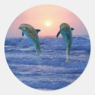 Pegatina Redonda Delfines al amanecer