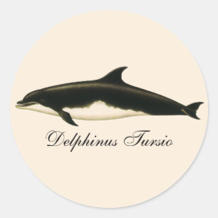 Pegatina Redonda Delfines Delphinus Tursio, Animales Marinos Antigu