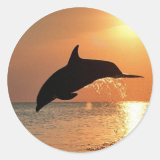 Pegatina Redonda Delfines por atardecer