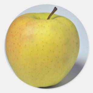 Pegatina Redonda Deliciosa manzana dorada