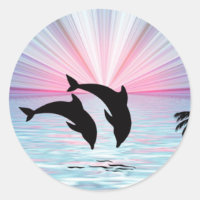 Delphin Sunset