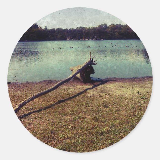 Pegatina Redonda Derivación (Anverso)