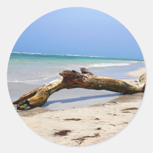 Pegatina Redonda Derivación (Anverso)