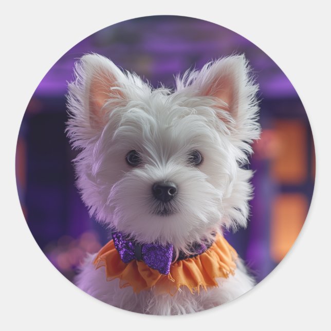 Pegatina Redonda Design your own Custom Photo Stickers (Anverso)