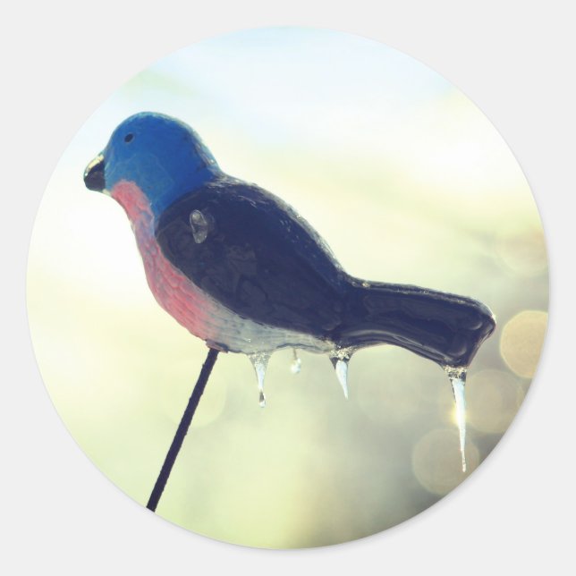 Pegatina Redonda Después de la tormenta naturaleza del invierno (Anverso)