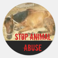 Detener el abuso animal